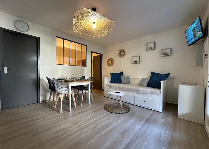 Appartement Climatise Avec Chambre Et Parking Privatif Locations Vld Camargue