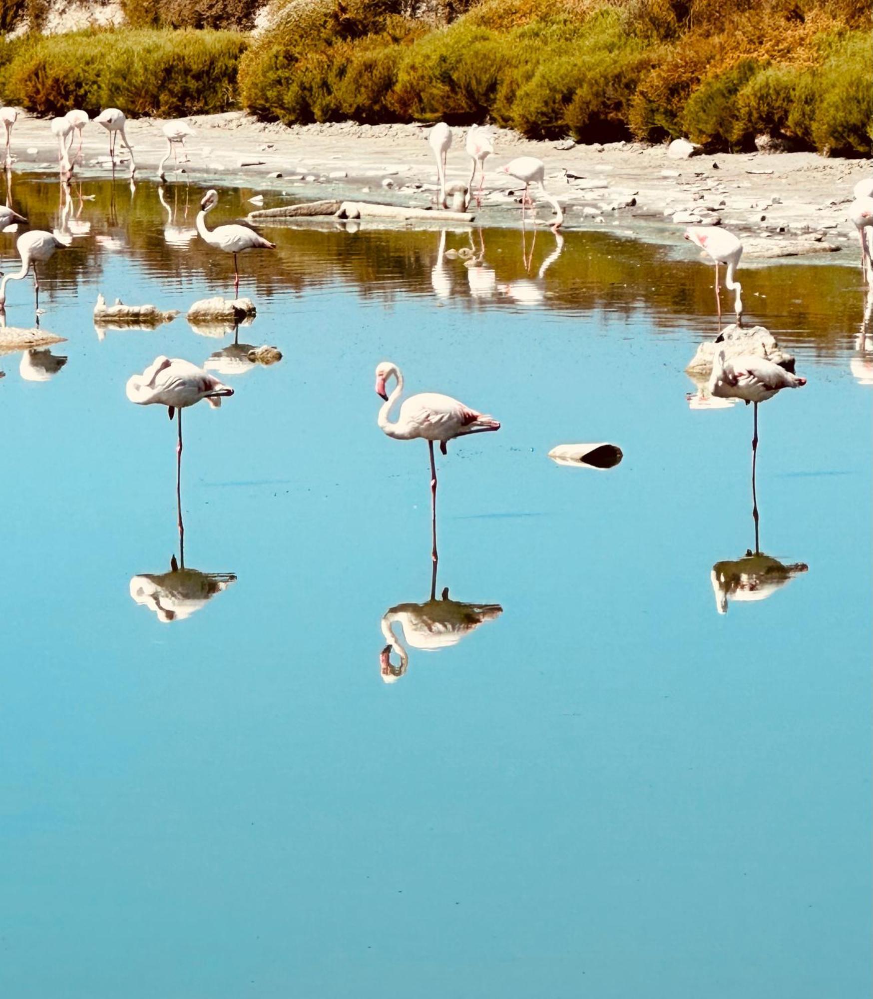 Climatise Avec Et Parking Privatif Locations Vld Camargue Saintes-Maries-de-La-Mer